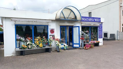 Róża. Kwiaciarnia, Kwiaciarnia w Koluszki
