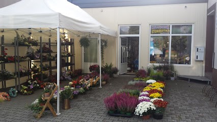 Kwiaciarnia Stokrotka, Kwiaciarnia w Zbąszyń