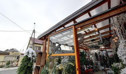 Kwiaciarnia AZALIA Gospodarstwo Ogrodnicze. Hurtownia Kwiatów., Kwiaciarnia w Łuków