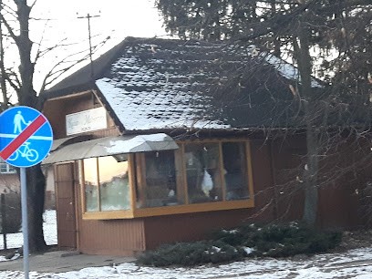 Stańczyk Małgorzata. Kwiaciarnia, Kwiaciarnia w Łęczyca