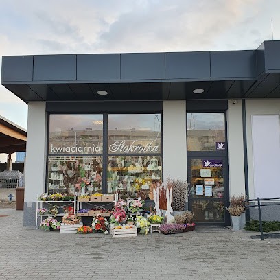 Kwiaciarnia Stokrotka Knurów, Kwiaciarnia w Knurów