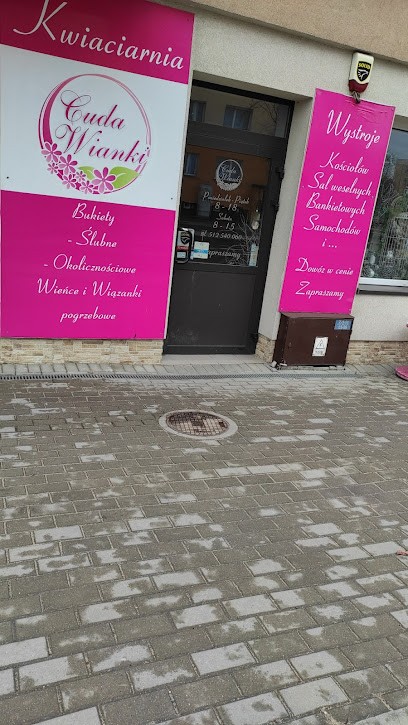 Kwiaciarnia Cuda Wianki, Kwiaciarnia w Ciechanów