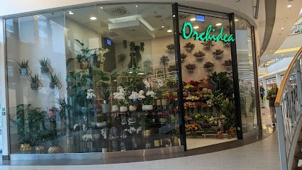 Kwiaciarnia Orchidea, Kwiaciarnia w Kraków