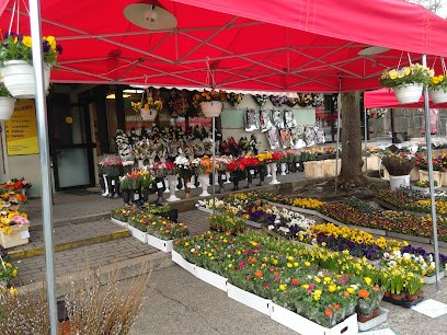 A-Kwadrat-1 s.c. Kwiaciarnia. Brzeziński R., Rzepka R., Kwiaciarnia w Opole