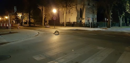 Kwiaciarnia Alicja, Kwiaciarnia w Inowrocław