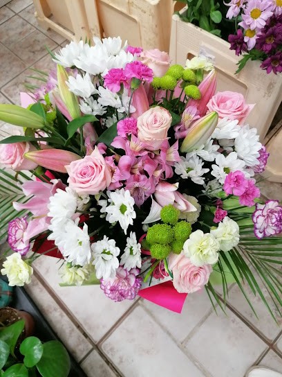 Doris, Kwiaciarnia w Tarnogród