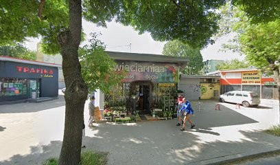 Poczta i kwiaty Łódź, Kwiaciarnia w Łódź