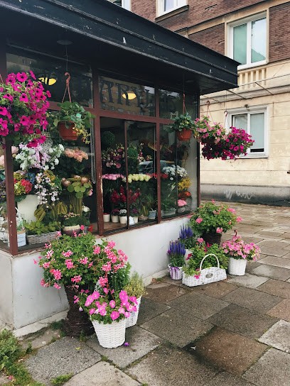 Kwiaciarnia Amarylis, Kwiaciarnia w Warszawa