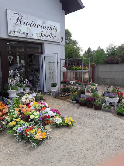 KWIACIARNIA AMELLIA, Kwiaciarnia w Starcza