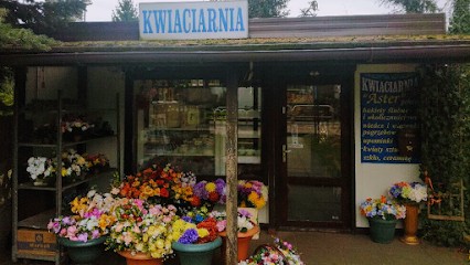 Kwiaciarnia ASTER Katarzyna Wirth, Kwiaciarnia w Komorniki