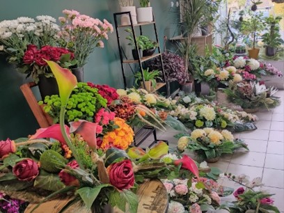 Kwiaciarnia Tajemniczy Ogród, Kwiaciarnia w Radom