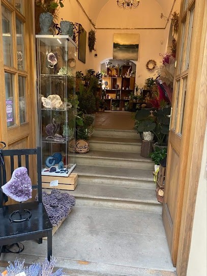 Kwiaciarnia Pod Baranami Natura I Sztuka, Kwiaciarnia w Krąków