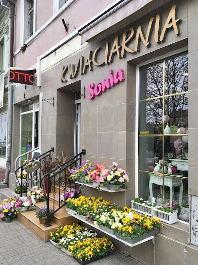 Kwiaciarnia Sonia E. G. Krawczuk, Kwiaciarnia w Niemodlin