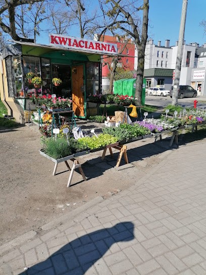 Kwiaciarnia Semaforowa róg Mościckiego, Kwiaciarnia w Wrocław