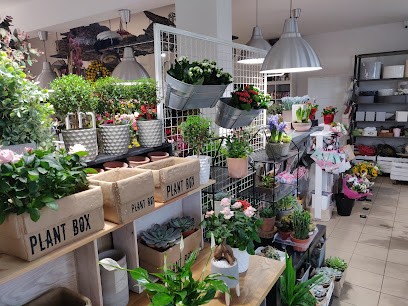 Kwiaty I Dekoracje Warszawa, Kwiaciarnia w Babice Nowe