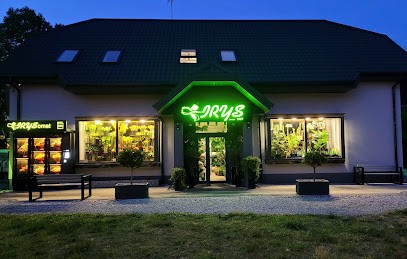 Iris. Florist. Misiejuk J., Kwiaciarnia w Białystok