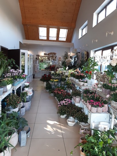 Kwiaciarnia Leśna, Kwiaciarnia w Suchy Las