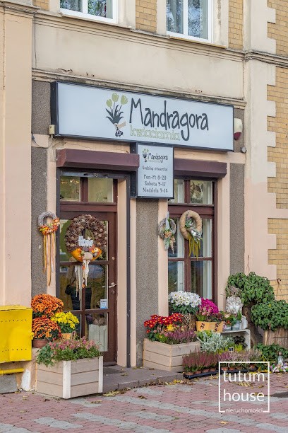 Mandragora Kwiaciarnia, Kwiaciarnia w Wejherowo