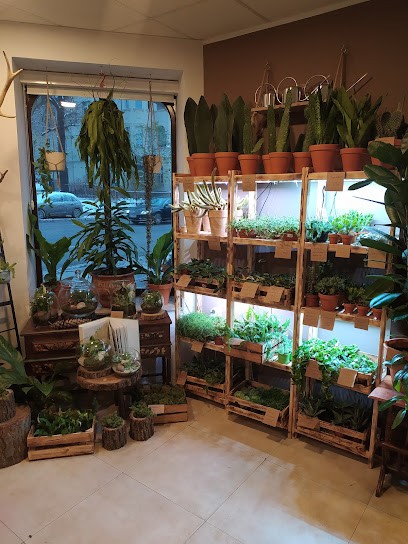 Kwiaciarnia i sklep z roślinami Chruśniak, Kwiaciarnia w Sopot