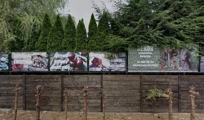 Dekor, Kwiaciarnia w Sucha Beskidzka