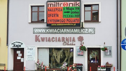 Oleńka Milicz - Kwiaciarnia Internetowa Kwiaty Z Dostawą Bukiet Kwiatów Od 49 Zł, Kwiaciarnia w Milicz