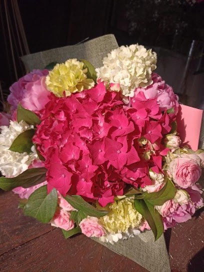 Pracownia Flowers Dorota Pestilenz, Kwiaciarnia w Jastrzębia Góra