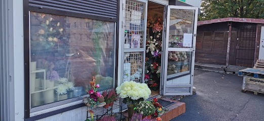 Kwiaciarnia Róża, Kwiaciarnia w Poznań
