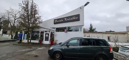 Planet Flowers. Florist, wedding bouquets, bouquets, Kwiaciarnia w Gniezno