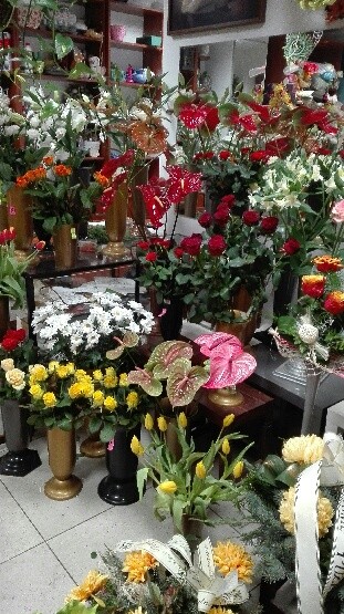 Euforia, Kwiaciarnia w Będzin