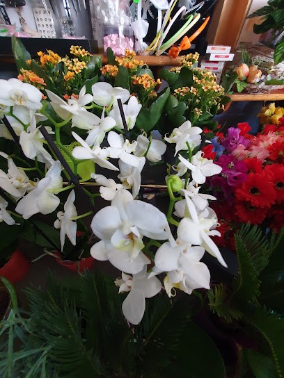 Kwiaciarnia ,,JR'', Kwiaciarnia w Sulików