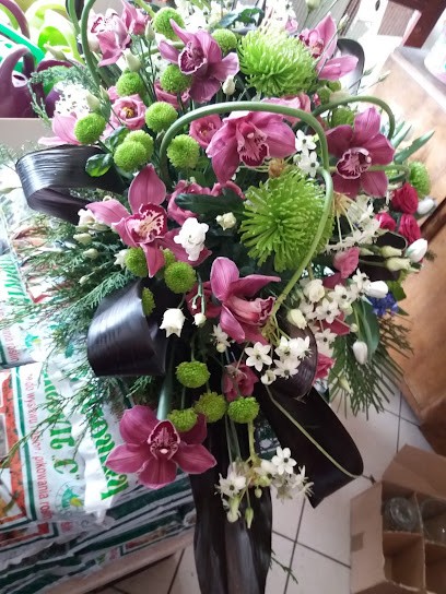 Kamelia. Kwiaciarnia. Mączyńska A., Kwiaciarnia w Biała Podlaska