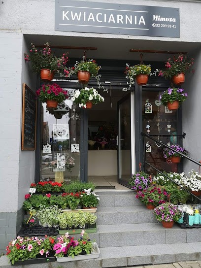 Kwiaciarnia Mimoza, Kwiaciarnia w Katowice