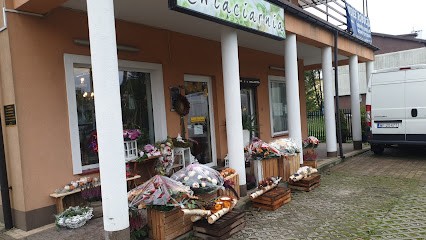 Kwiaciarnia, Kwiaciarnia w Radzymin