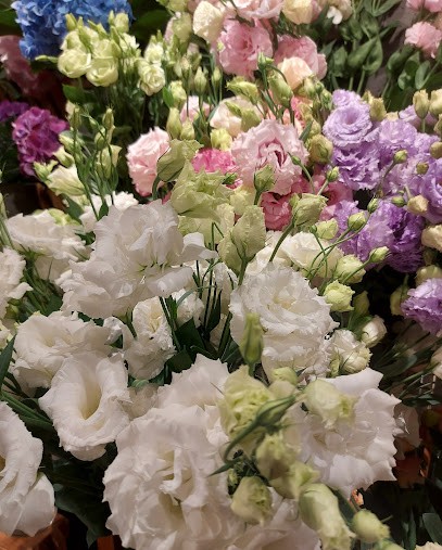 Świat Roślin, Kwiaciarnia w Osieck