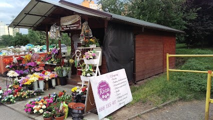 Kwiaciarnia Róża I Ja, Kwiaciarnia w Siemianowice Śląskie