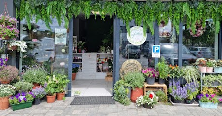 Kwiaciarnia PlantStacja, Kwiaciarnia w Rumia