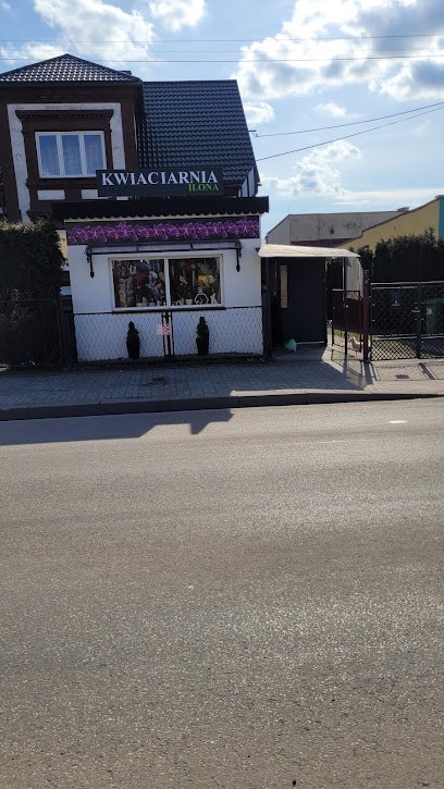 Kwiaciarnia ILONA Brzeszcze, Kwiaciarnia w Brzeszcze