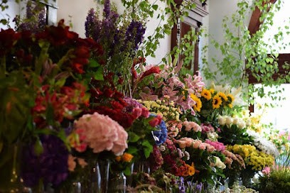 Studio Kwiatowe Sfinks, Kwiaciarnia w Legnica