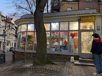 Kwiaciarnia FloraRoom Storczyk, Kwiaciarnia w Sopot