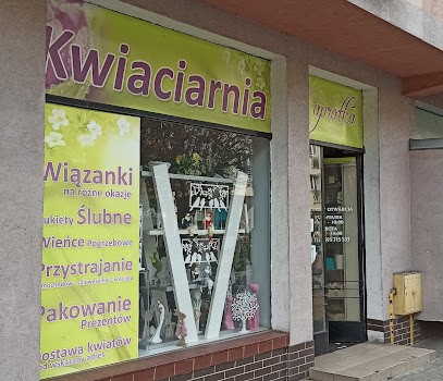Kwiaciarnia Paprotka, Kwiaciarnia w Gryfino