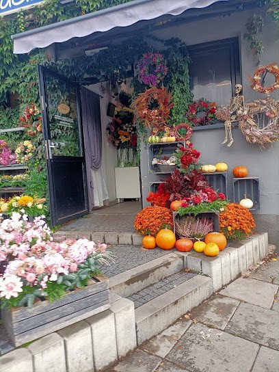 Kwiaciarnia Krokusik, Kwiaciarnia w Krąków