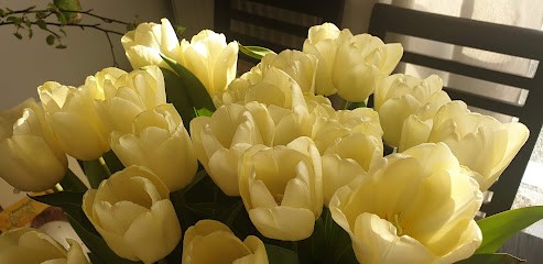 Ogrodnictwo, Kwiaciarnia w Bydgoszcz