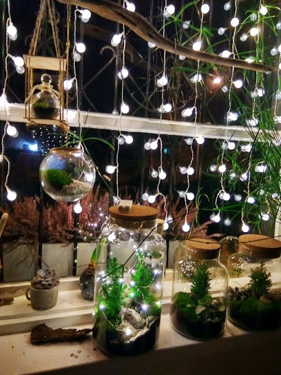 BioPhilic Studio Anna Piotrowska, Kwiaciarnia w Warszawa