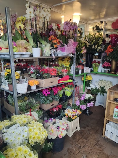 Kwiaciarnia u Małgosi, Kwiaciarnia w Dąbrowa Górnicza