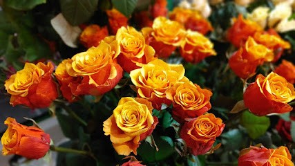 Elbi. Kwiaciarnia, Kwiaciarnia w Piaseczno