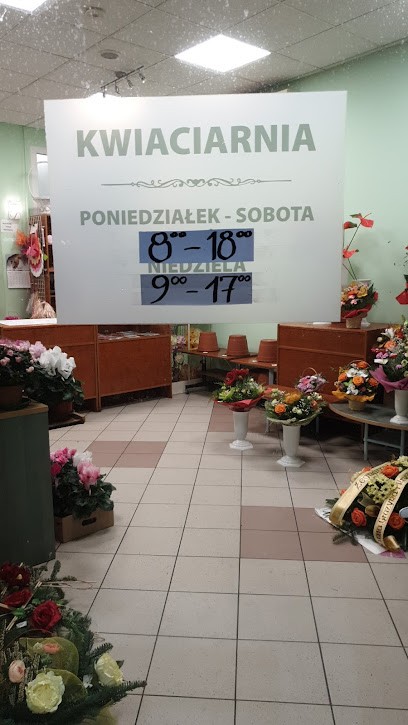 Kwiaciarnia „Hibiskus”, Kwiaciarnia w Wrocław
