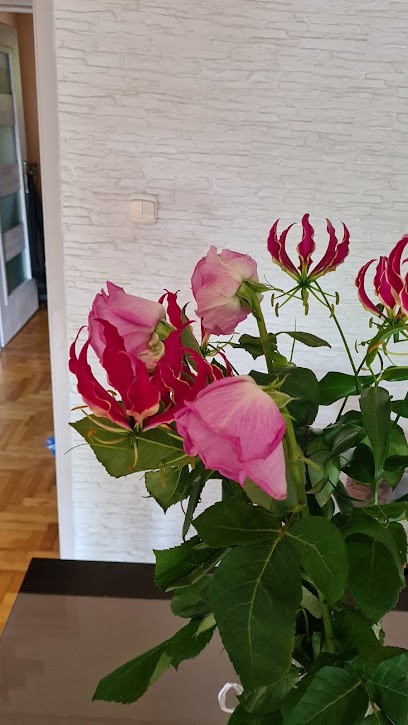 Nowa. FH. Kwiaciarnia. Nowak H., Kwiaciarnia w Częstochowa