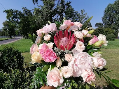 Kwiaciarnia Rodzinna, Kwiaciarnia w Strzelce Opolskie