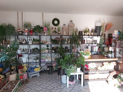 Kwiaciarnia MAGNOLIA, Kwiaciarnia w Papowo Biskupie