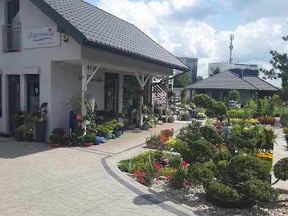 AGRAMIS KWIACIARNIA I OGRÓD, Kwiaciarnia w Sosnówiec
